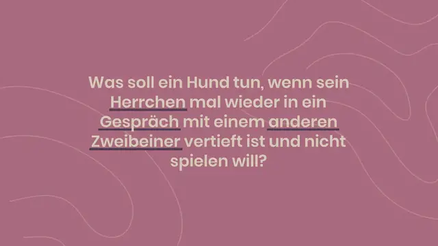 Video thumbnail for Geniale Idee: Wie dieser Hund auf einer Treppe mit sich selbst Ball spielt, begeistert das Internet