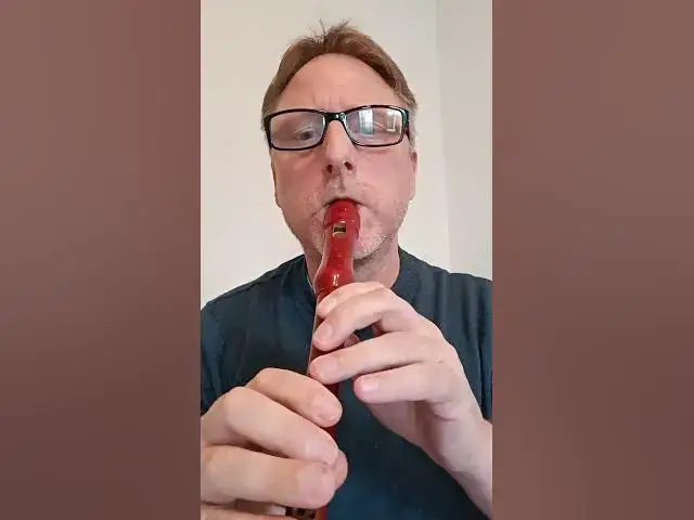 Video thumbnail for Toss the Feathers Irish Reel on Descant Recorder