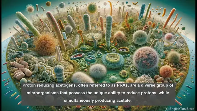 Video thumbnail for Proton reducing acetogen in biology