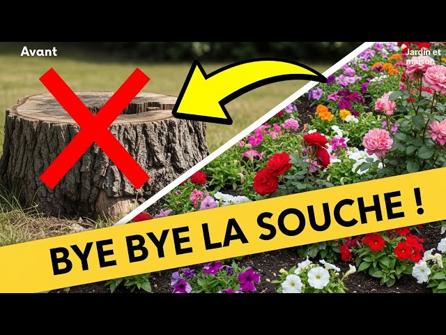 Video thumbnail for Bye Bye la Souche ! Créez un Parterre Fleuri Facilement
