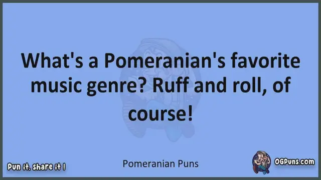Video thumbnail for Pomeranian - Jokes, Puns, Wordplays, and Laughter