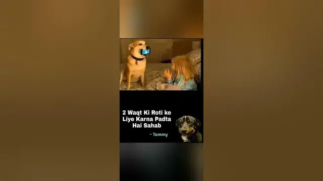 Video thumbnail for funny memes that will make you laugh #651 || legend memes ||  funny relatable memes 😂 #memes #shorts