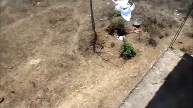 Video thumbnail for Making paper flying bird at home/Flying paper bird/Home made flying paper bird.