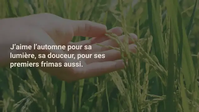 Video thumbnail for Velouté de lentilles corail à la coriandre