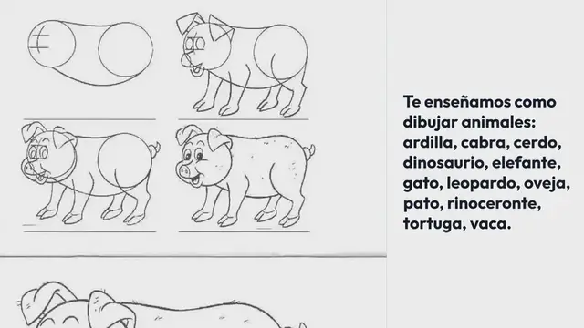 Video thumbnail for Como dibujar animales