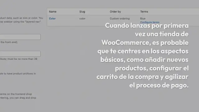 Video thumbnail for ¿Cómo crear un producto variable en WooCommerce?