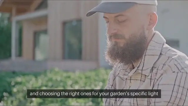 Video thumbnail for Plant Selection Sunlight Needs