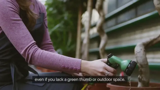 Video thumbnail for Indoor Gardening Basics for Beginners