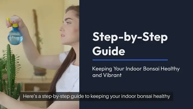 Video thumbnail for Step-by-Step Guide to Indoor Bonsai Care