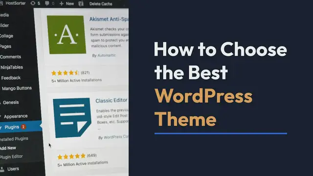Video thumbnail for What Are the Best WordPress Themes?