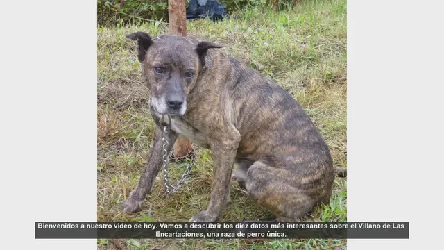 Video thumbnail for 10 Datos Fascinantes sobre el Villano de Las Encartaciones