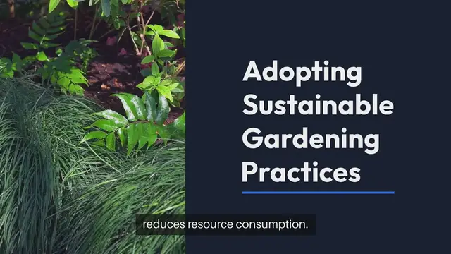 Video thumbnail for Best Outdoor Gardening Practices for Sustainable Living