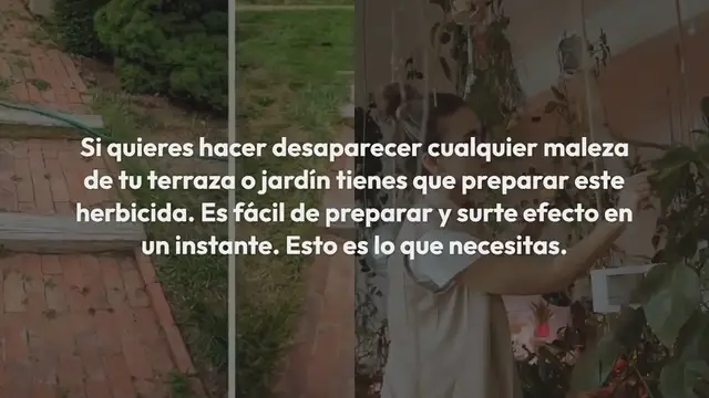 'Video thumbnail for Eficaz y fácil de preparar: este herbicida hace desaparecer cualquier maleza'