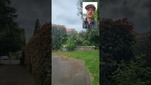 Video thumbnail for Hedge job at home. A hard prune on a Red Robin Hedge.