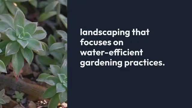 Video thumbnail for Xeriscaping In Botanical Gardens