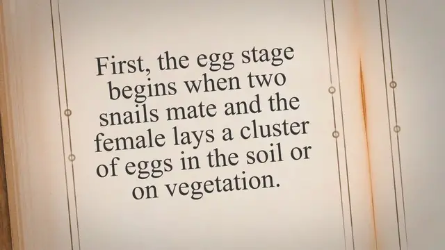 Video thumbnail for Life Cycle of Common Garden Snail