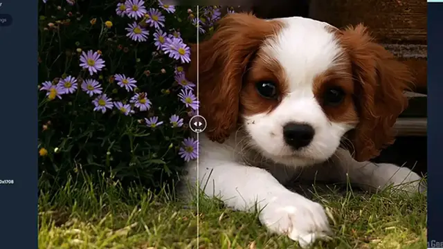Video thumbnail for Best FREE AI Tool to Upscale, Unblur, Sharpen Images