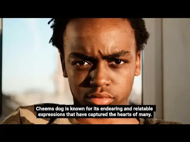 Video thumbnail for cheems dog