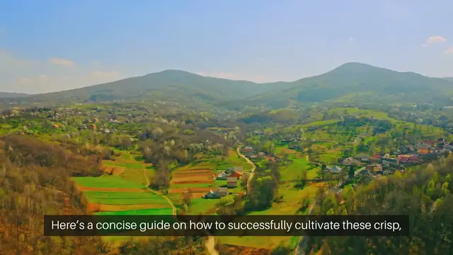 Video thumbnail for How to Grow Radishes in Containers