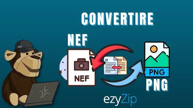 Video thumbnail for Come Convertire NEF in PNG Online (Guida Semplice)