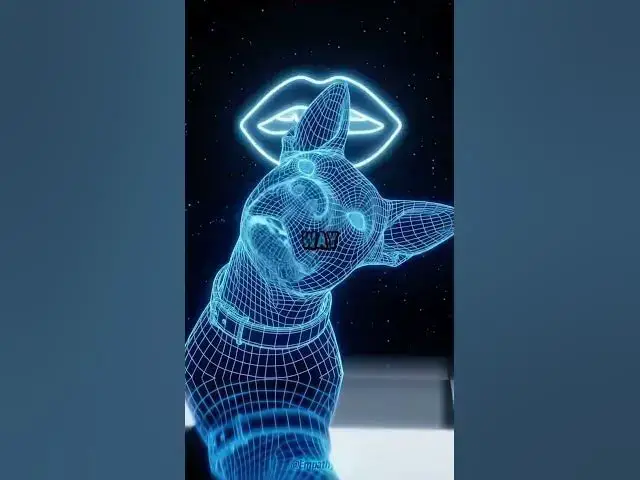 Video thumbnail for Do you know why he does this?