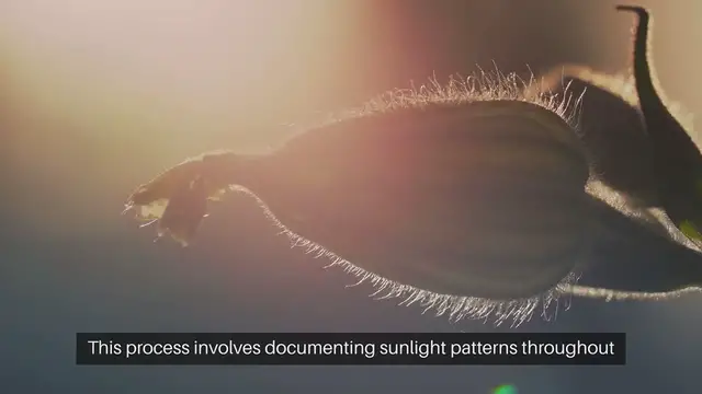 Video thumbnail for Create Garden Sun Map