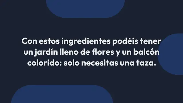 'Video thumbnail for Una taza cada mes y tendrás un balcón y un jardín lleno de flores: nunca lo había tenido así'