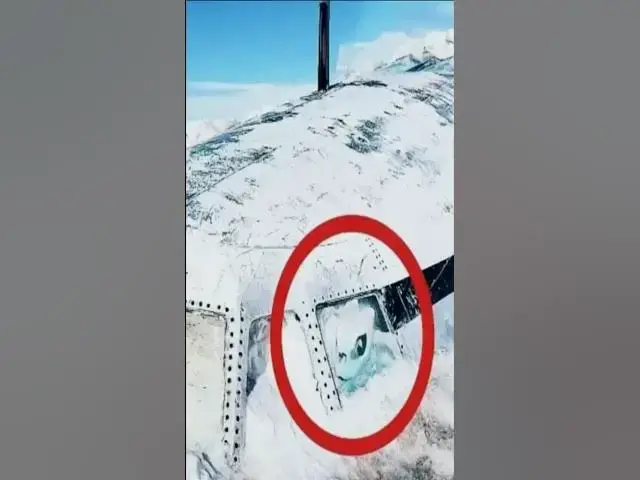 'Video thumbnail for Man Stumbles Upon Strange Object, Shocked When Realising What Is Inside'