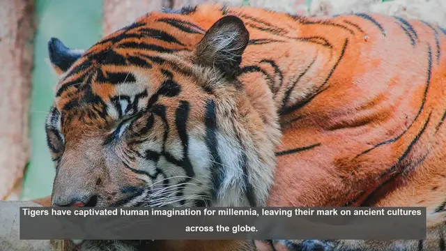 Video thumbnail for 10 Ancient Artifacts Showcasing Tigers Across Cultures