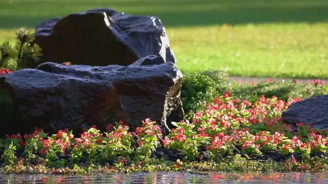 Video thumbnail for Rock Gardens