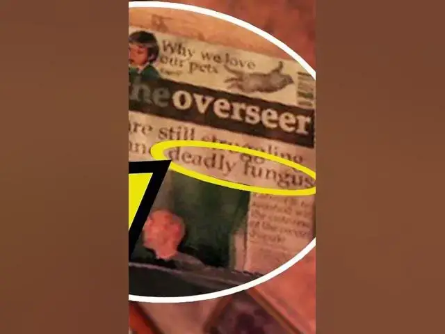 Video thumbnail for Uncharted 3 Easter Egg Reveals Connection to Last of Us #lastofus #uncharted3 #uncharted