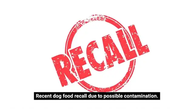 Video thumbnail for pedigree dog food recall