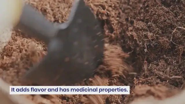 Video thumbnail for How to Grow Sage Successfully