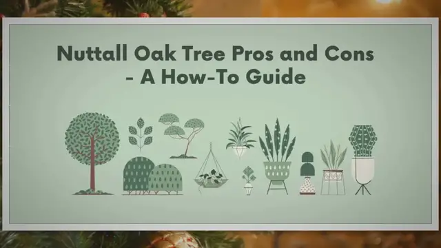 Video thumbnail for Unlocking the Secrets of the Mighty Nuttall Oak Tree! - A How-To Guide