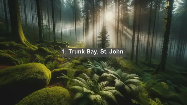 Video thumbnail for Discover the Beauty of the US Virgin Islands: Top 10 Must-Visit Landscapes!