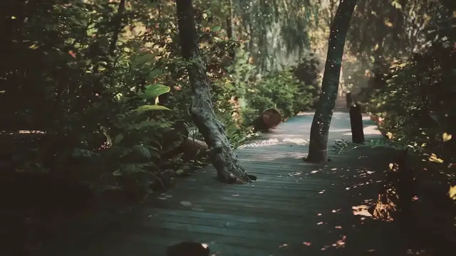 Video thumbnail for Decking garden