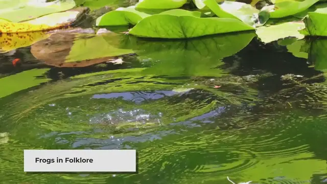 Video thumbnail for Frogs in Folklore: Unveiling the Legends and Myths