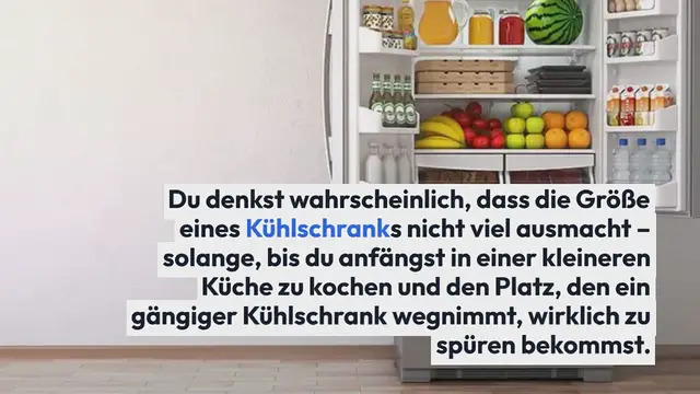 Video thumbnail for Refrigerator_50_cm_wide_test_2024