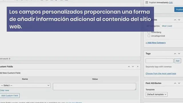 Video thumbnail for Cómo Añadir Meta Boxes y Campos Personalizados a las Entradas en Gutenberg