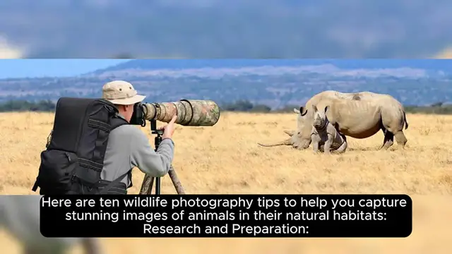 Video thumbnail for Top 10 Wildlife Photography Tips