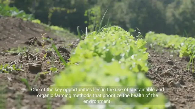 Video thumbnail for Innovations in Environmentally Friendly Farming