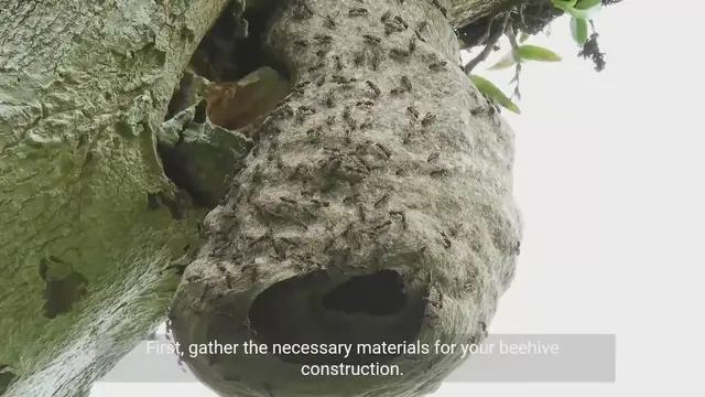 Video thumbnail for Building Small-Scale Beehives - A Step-by-Step Guide