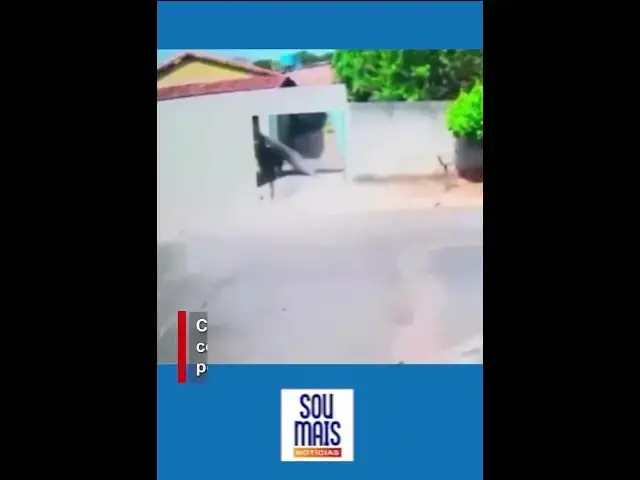 Video thumbnail for Cavalo desgovernado não consegue parar e  derruba portão em Goiânia (GO)