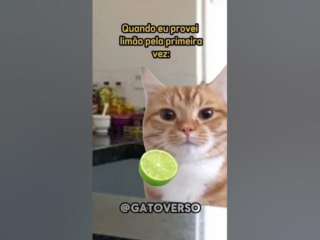 Video thumbnail for QUANDO VOCÊ PROVA UM LIMÃO QUE TA AZEDO #animation #gato #capcut #humor