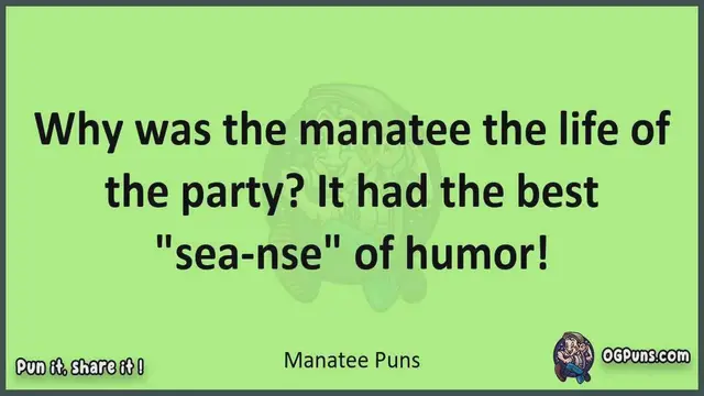 Video thumbnail for Manatee - Jokes, Puns, Wordplays, and Laughter