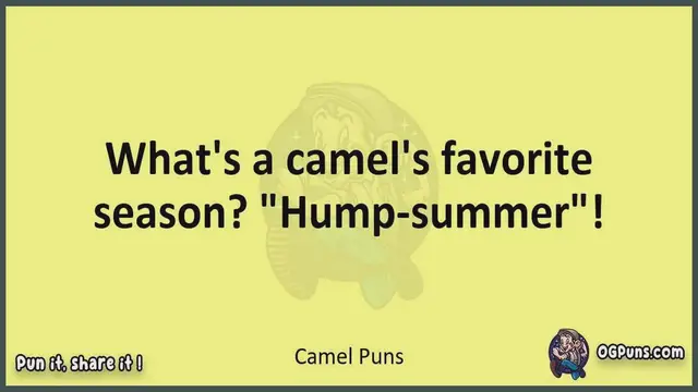 Video thumbnail for Camel - Jokes, Puns, Wordplays, and Laughter