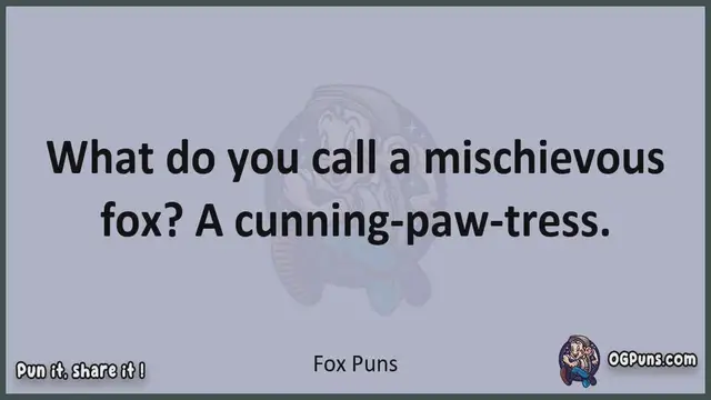Video thumbnail for Fox - Jokes, Puns, Wordplays, and Laughter