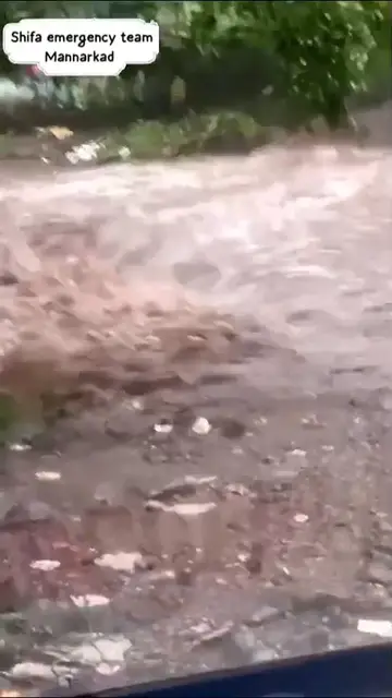 'Video thumbnail for 24/10/24 Mannarkkad Flash flood '