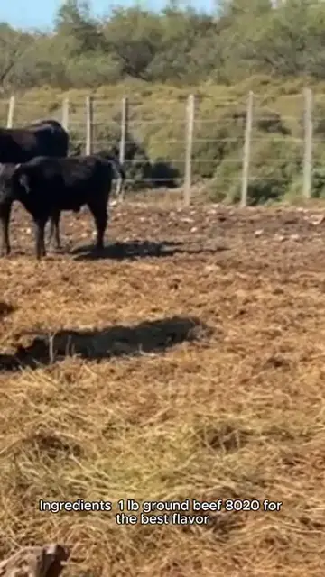 Video thumbnail for westren burgers