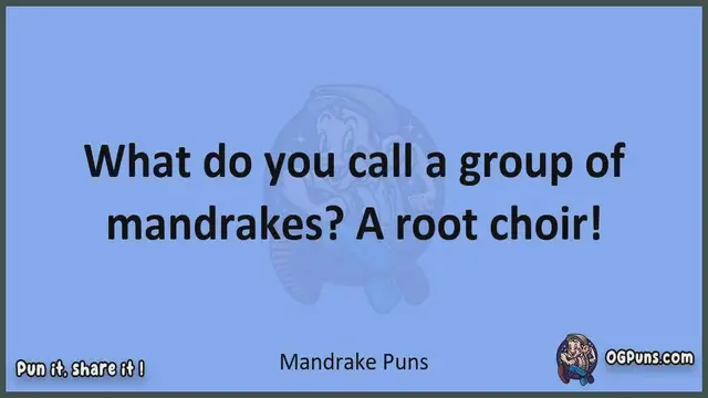Video thumbnail for Mandrake - Jokes, Puns, Wordplays, and Laughter